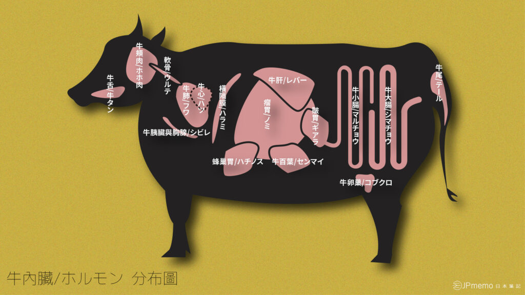 中日文對照燒肉部位大全 牛肉的18種部位16種內臟