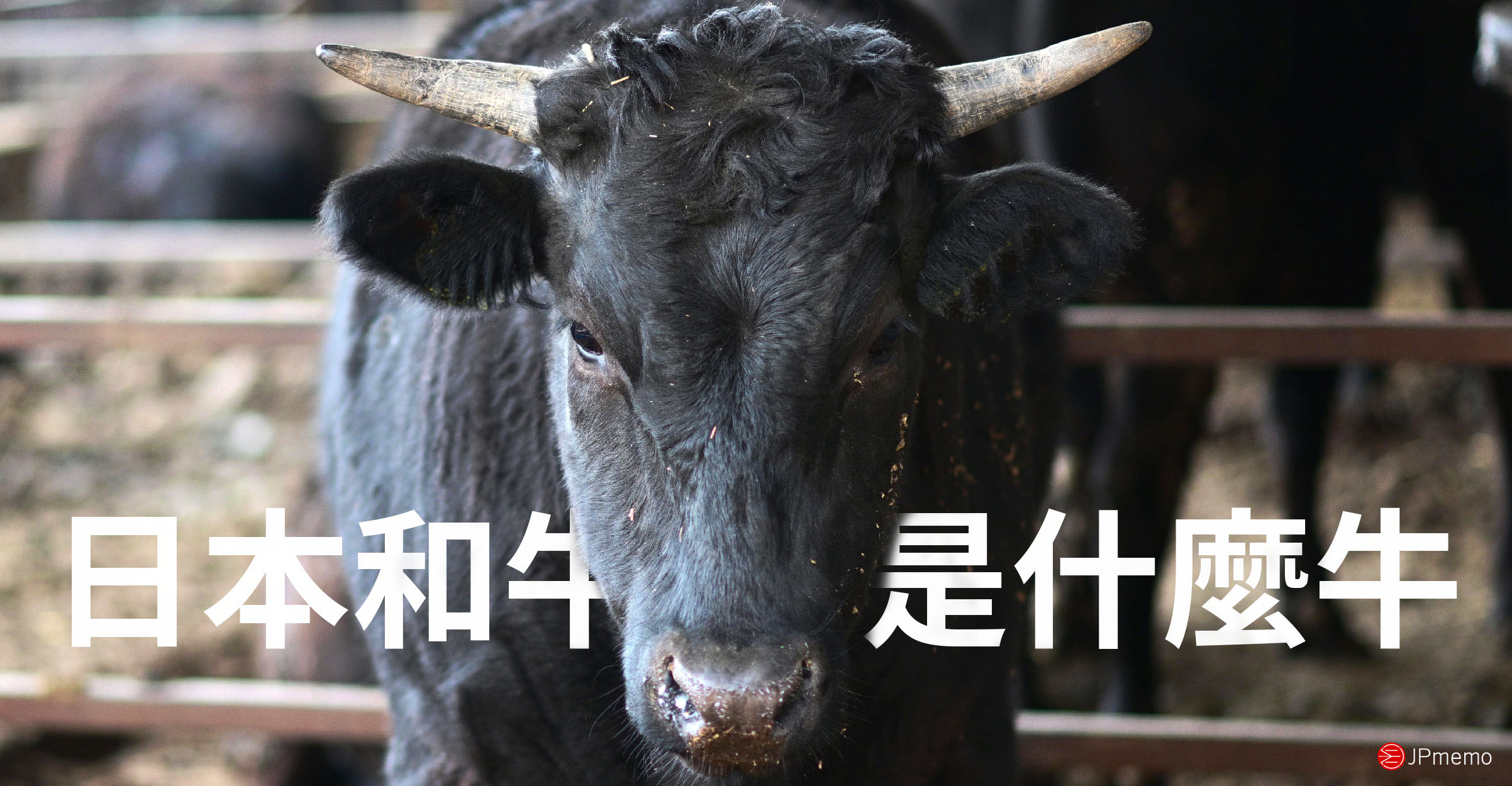 japanese-beef-cattle-wagyu